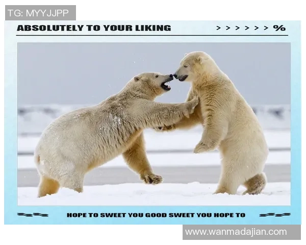 凯尔特儿与哈茨激战正酣球迷期待精彩对决与进球盛宴